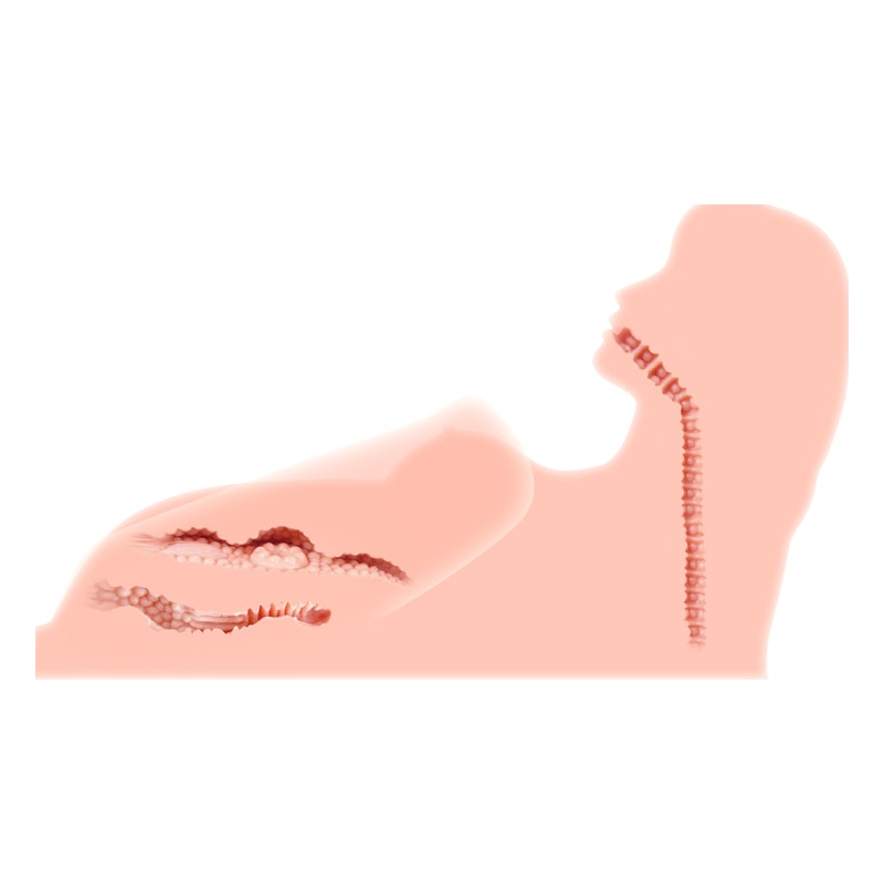 Lifelike Sex Torso with Vaginal, Anal, and Oral Orifices