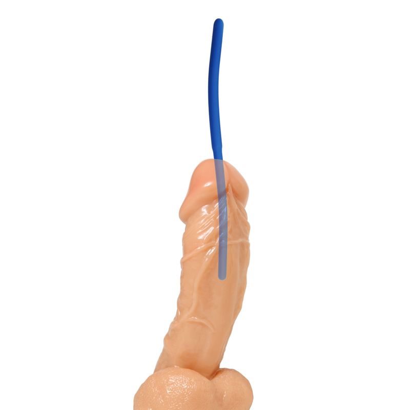 Invasion sound shown with an anatomical demonstration model, not included