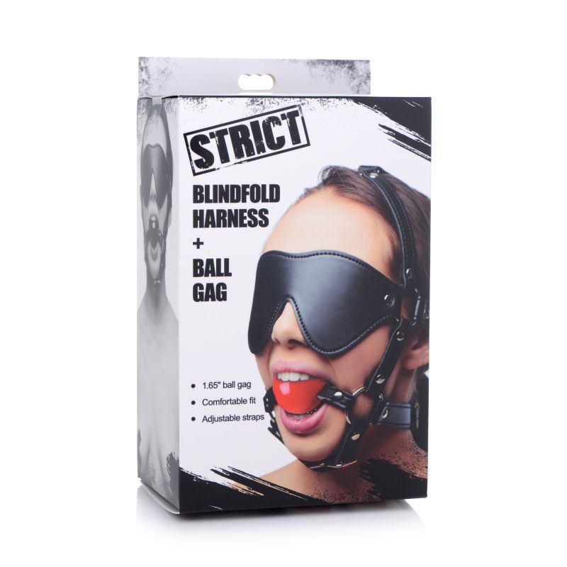 Blindfold Harness with Ball Gag