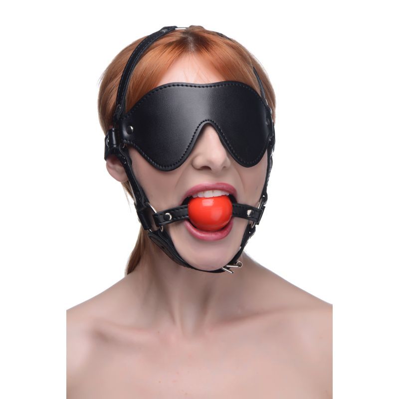 Blindfold Harness with Ball Gag