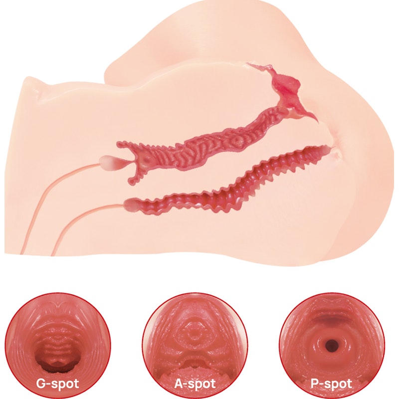 Maria Onahole 3 Pussy and Ass Realistic 1:1 Size Vagina Replica