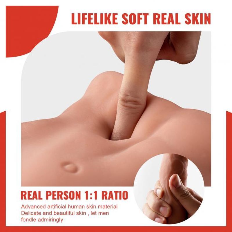 Bartlett Thrusting Male Torso – Ride or Be Ridden, You Choose