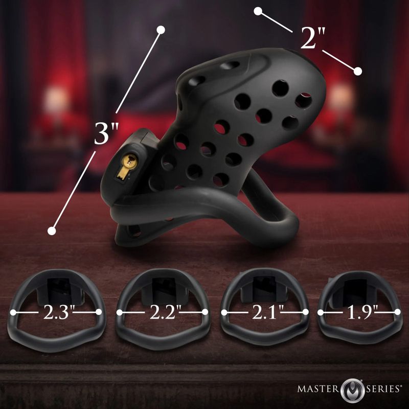 Master Series Lock Down Chastity Cage – Total Control, Perfect Fit