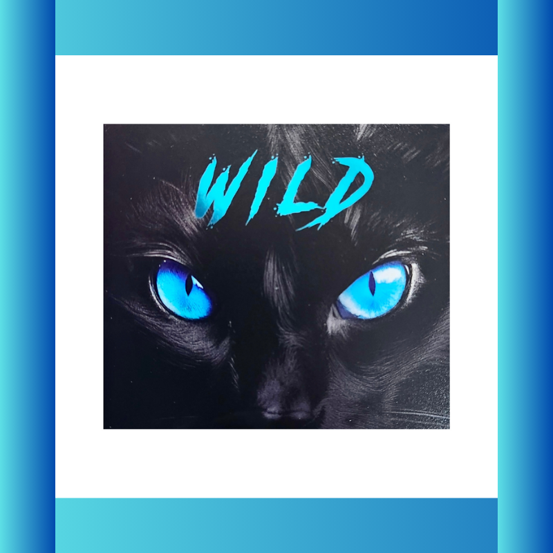 Wild Cat For Him 6 Pack