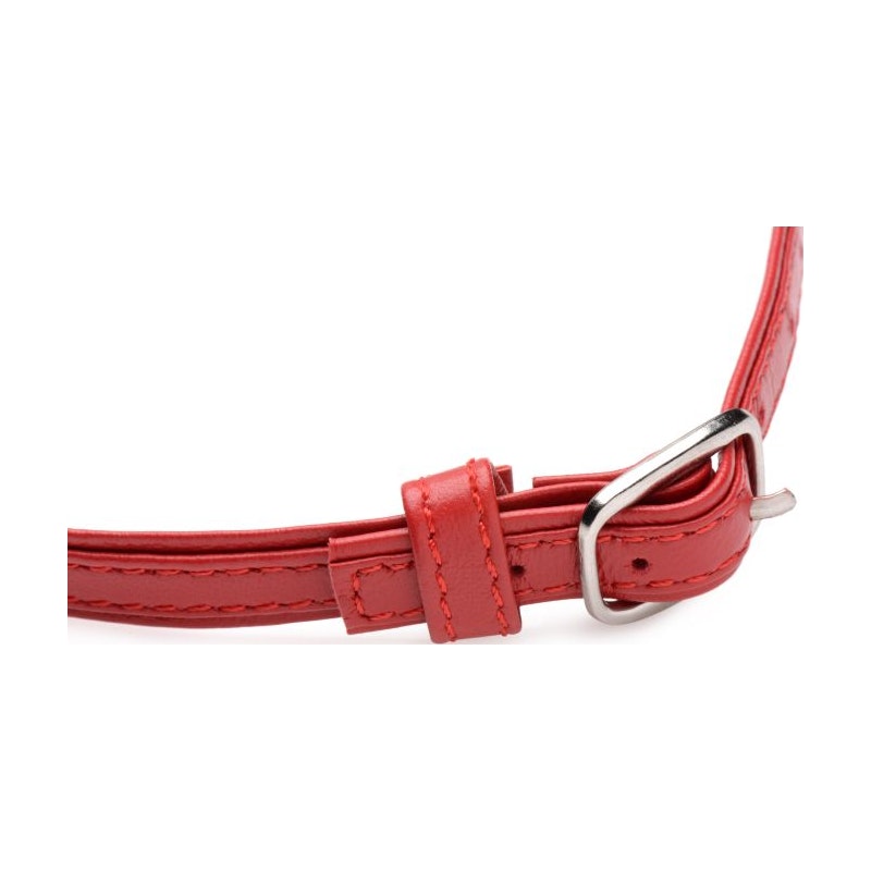 Fiery Red Pet Leather Choker with Silver Ring