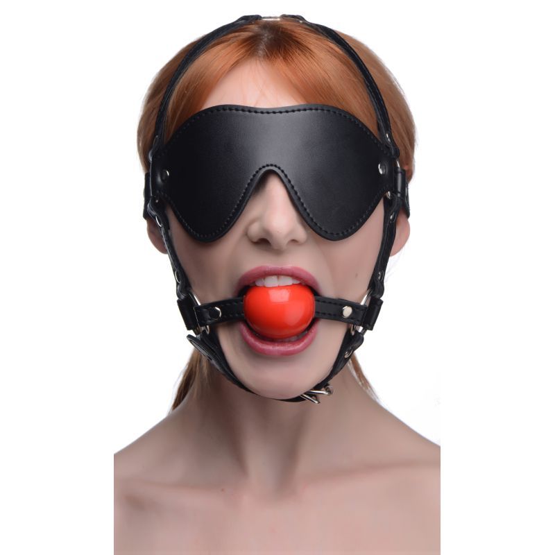 Blindfold Harness with Ball Gag