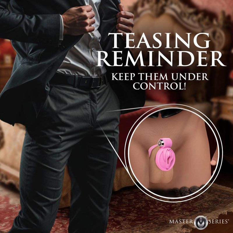 Master Series Pussification Vulva Chastity Cage Pink