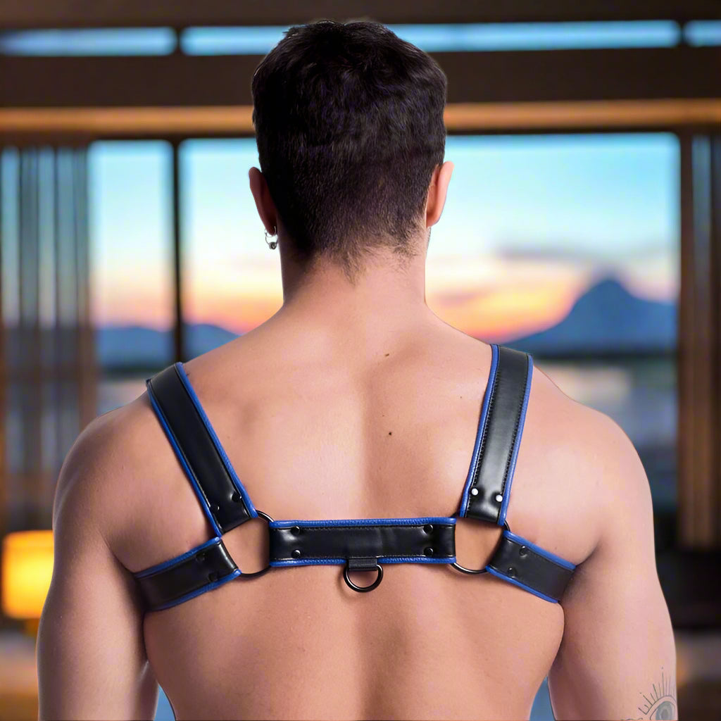 Sport Fucker Vegan Bulldog Harness Black/Blue – Lock In & Stand Out