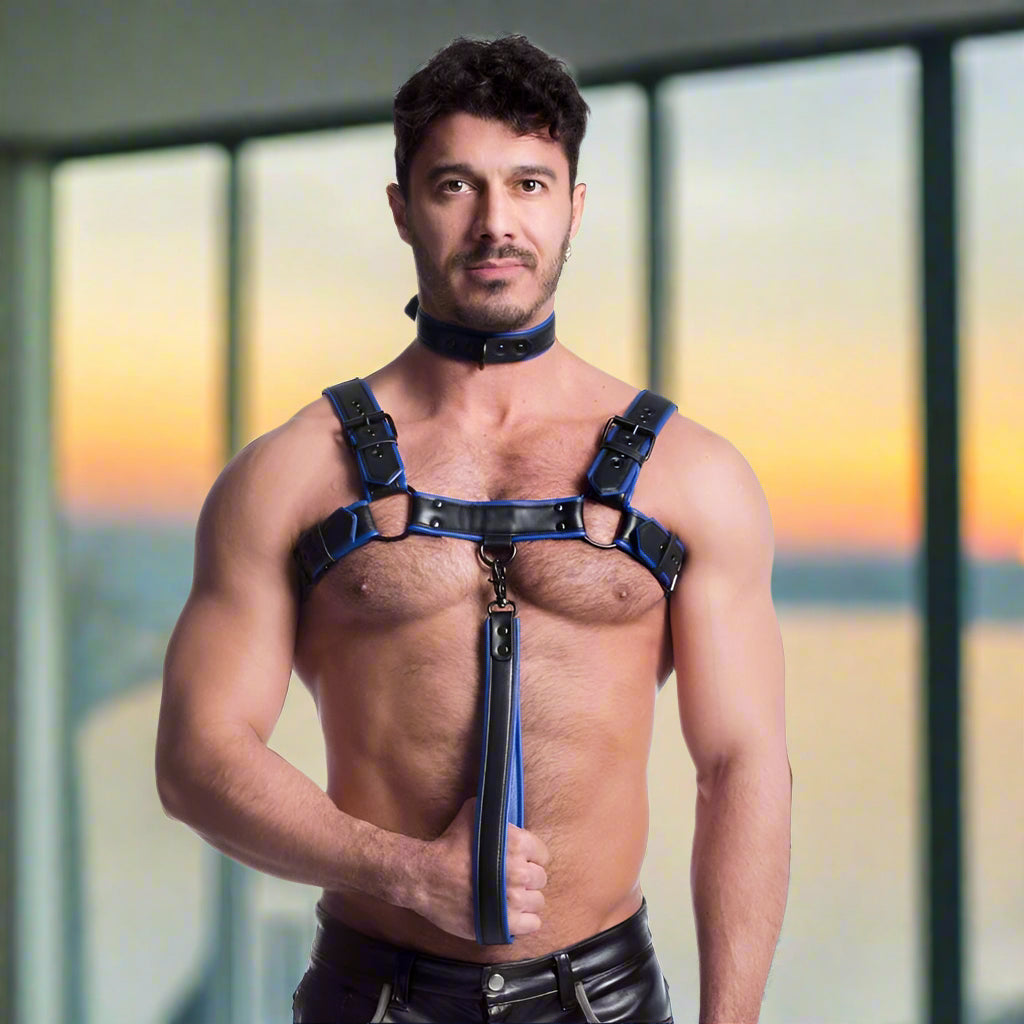 Sport Fucker Vegan Bulldog Harness Black/Blue – Lock In & Stand Out