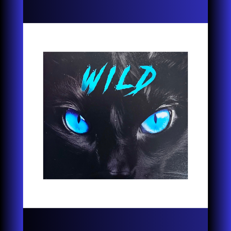 Wild Cat For Him 12 Pack