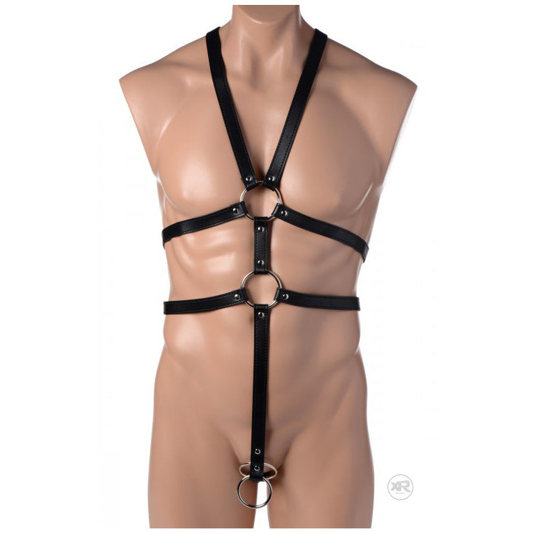 Male Full Body Harness