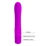 Rechargeable Vibe Alston Pretty Love